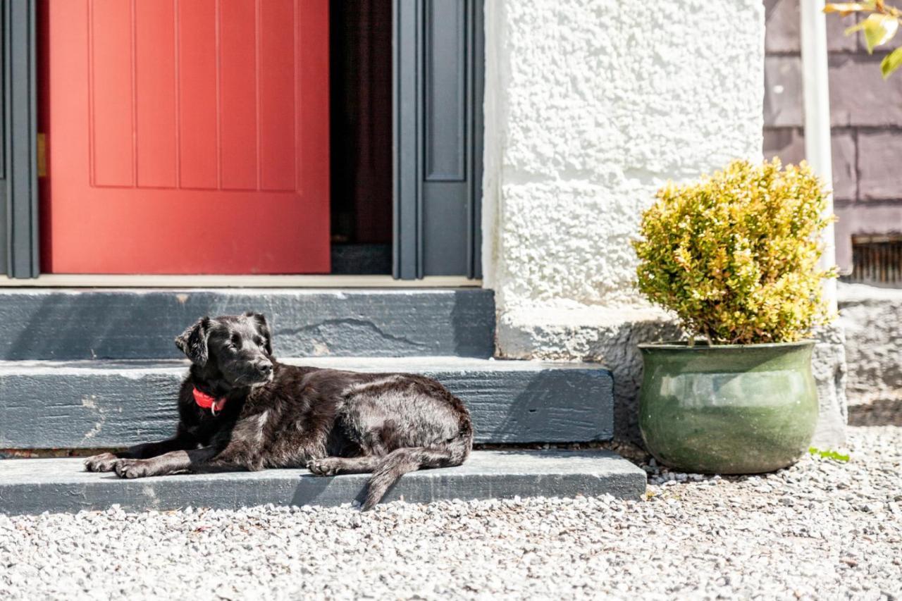 Bed & Breakfast The Old Vicarage Moylgrove